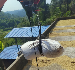 農民用微型電動葫蘆吊小米谷子